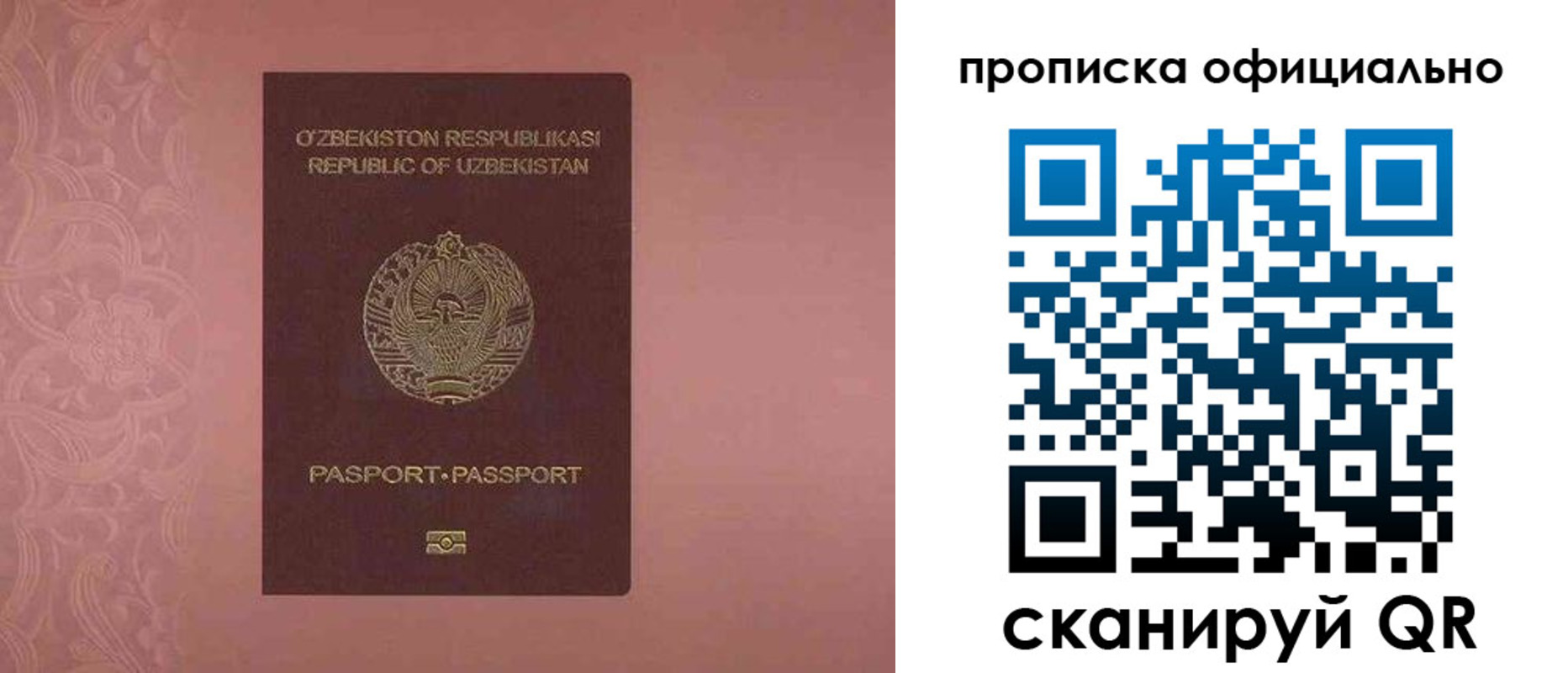 прописка гарантия в Московской области